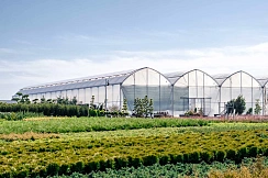 Мониторинг теплиц и тепличных комплексов